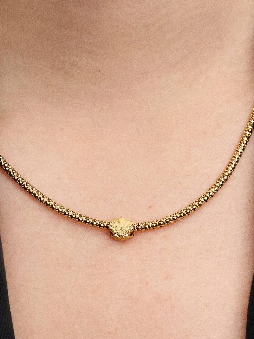 Close-up van een ketting met schelpenhanger op de huid, gecentreerd vooraanzicht.