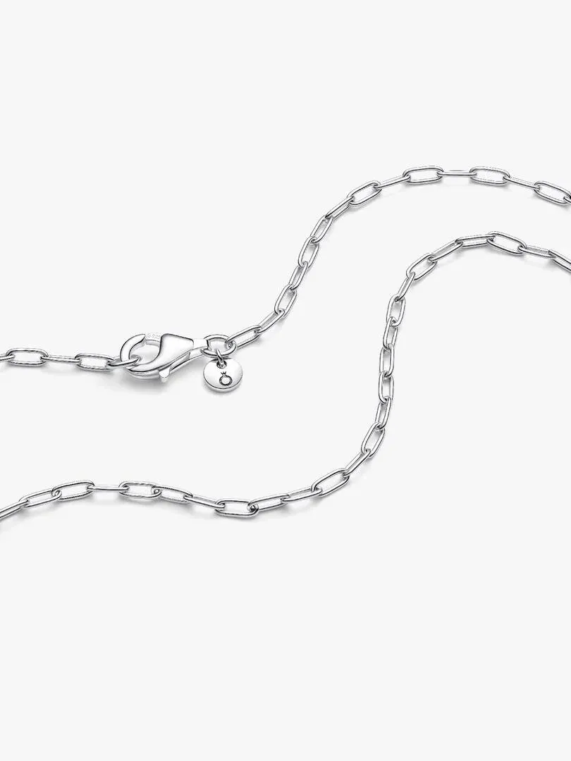 Close-up of the lobster clasp and logo tag on a white background, showing silver link details.