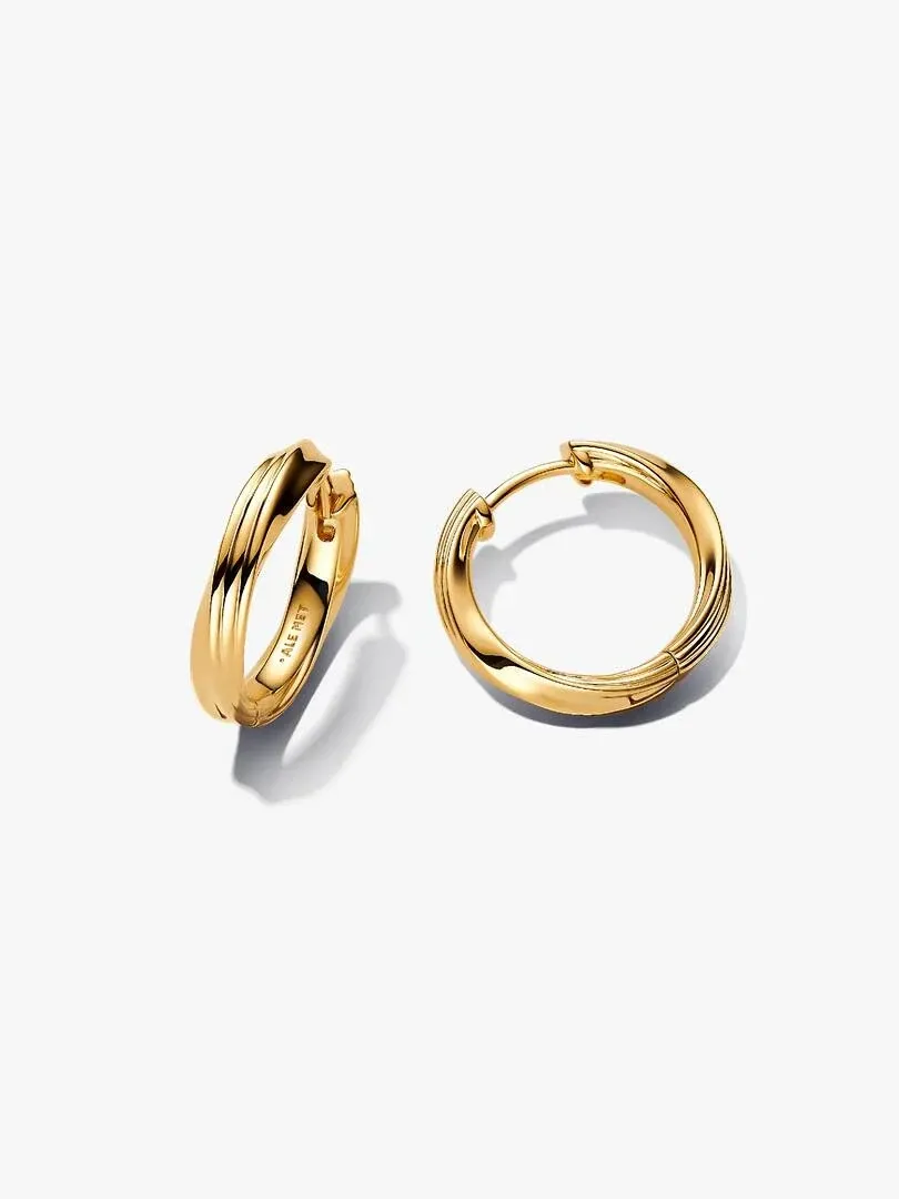 Paar gedrehte Creolen, schräge Frontansicht auf weißem Hintergrund.