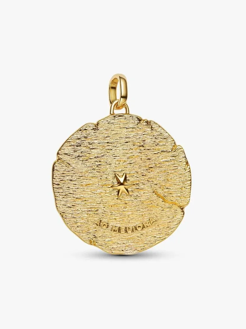 Medallón dorado con textura rugosa y grabado, visto de frente sobre fondo blanco.