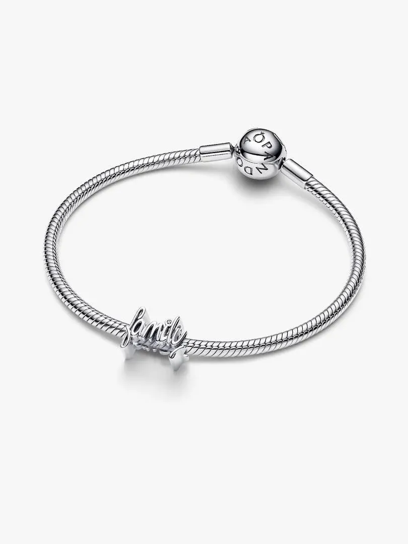 Silver charm with 'family' inscription on a snake chain bracelet, diagonal view, white background.