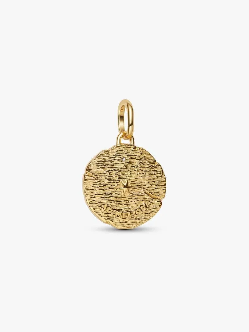 Charm médaillon doré à texture rugueuse et flèches, vue de face sur fond blanc.