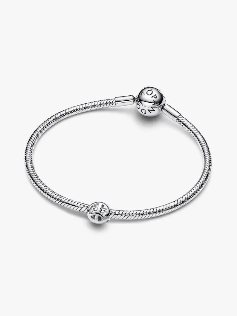 Bracelet en argent à mailles torsadées vu d'un angle supérieur sur fond blanc.