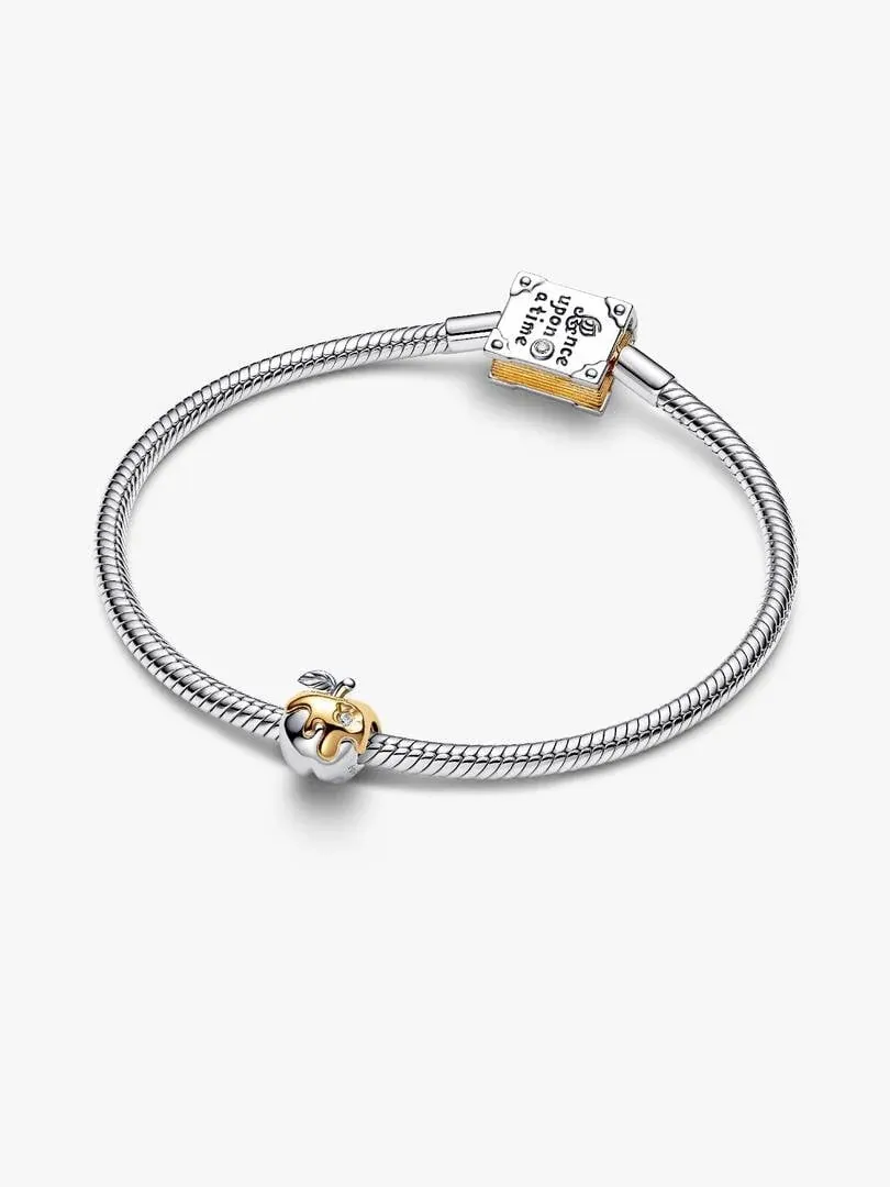 Charm pomme et fermoir rectangulaire gravé sur un bracelet en argent, vue de dessus sur fond blanc.