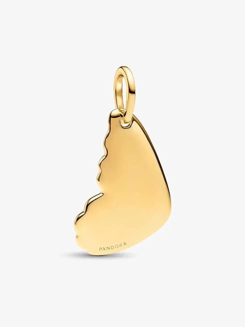 Vooraanzicht van de gouden vlinderhanger op een witte achtergrond, licht vogelperspectief.