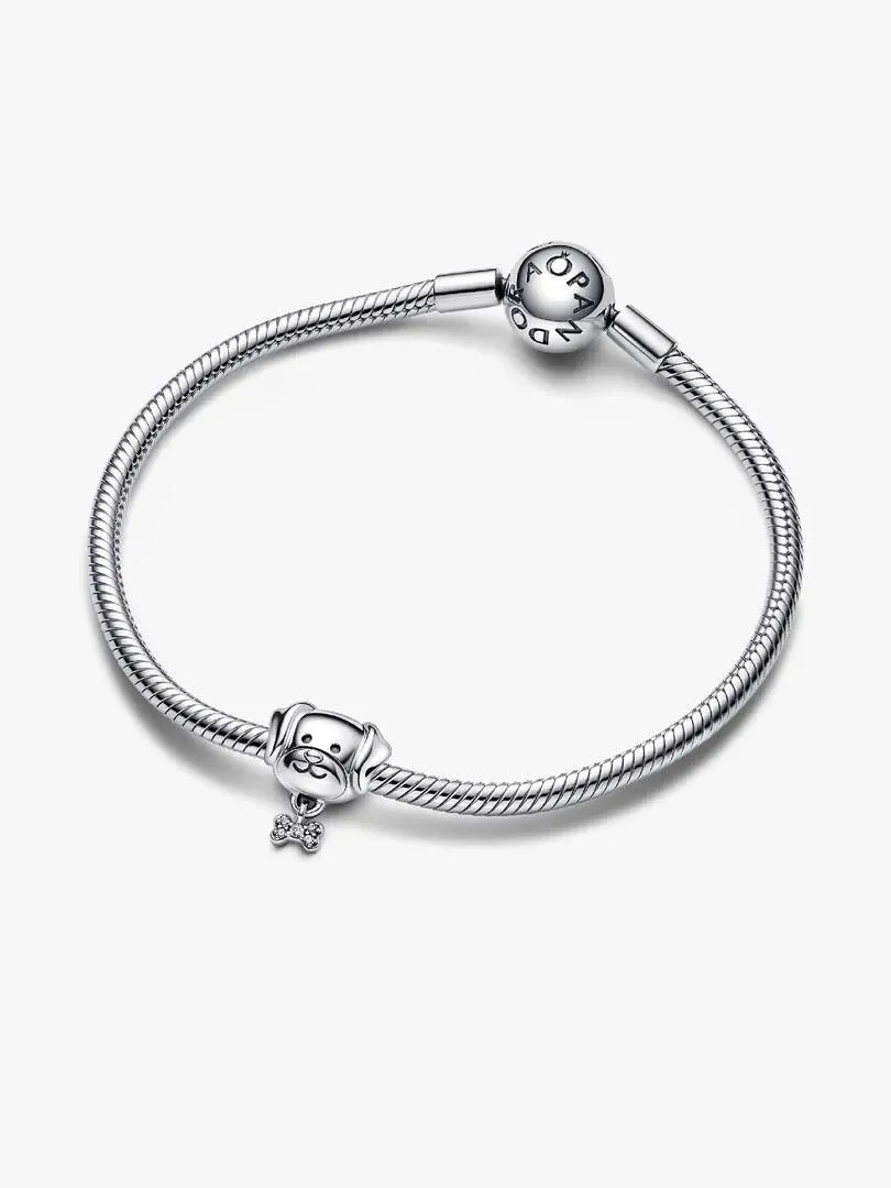 Hond en bot charm aan een zilveren armband, bovenaanzicht op witte achtergrond.