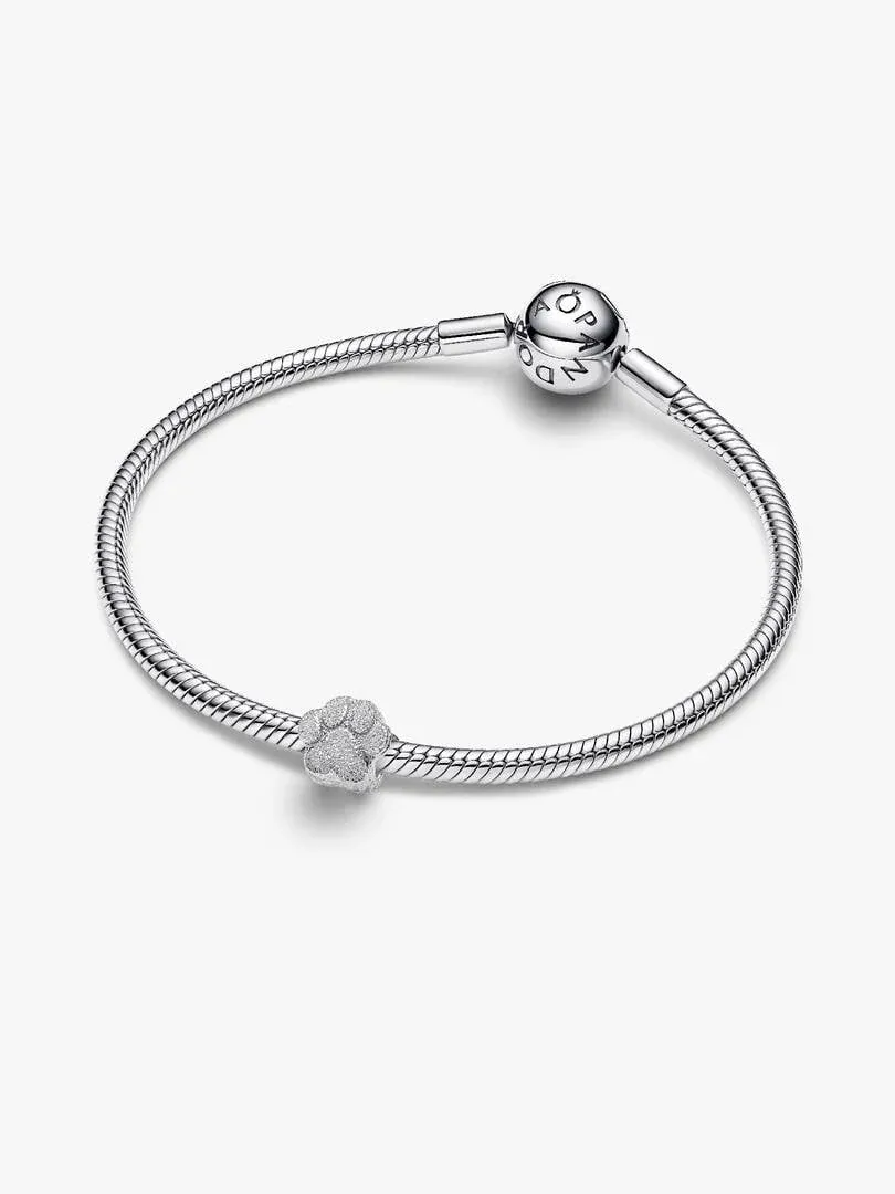 Paw charm on a silver snake chain bracelet, top diagonal view, plain white background.