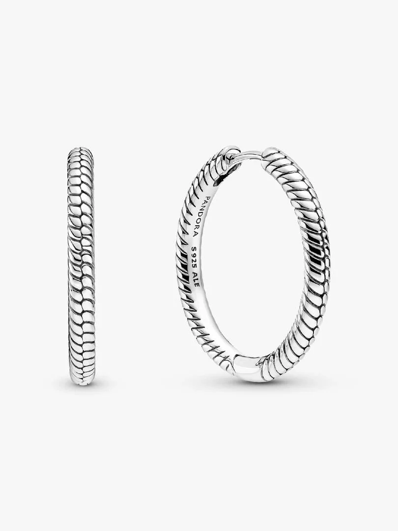Pair of hoop earrings with snake chain texture, front and side view on a white background.