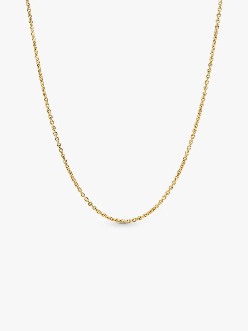 Fine chain necklace arranged in a U-shape on a white background, full front view.